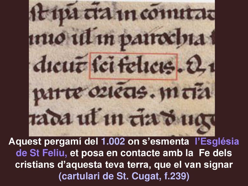 Aquest pergamí del on s’esmenta l’Església de St Feliu, et posa en contacte amb la Fe dels cristians d’aquesta teva terra, que el van signar (cartulari de St.