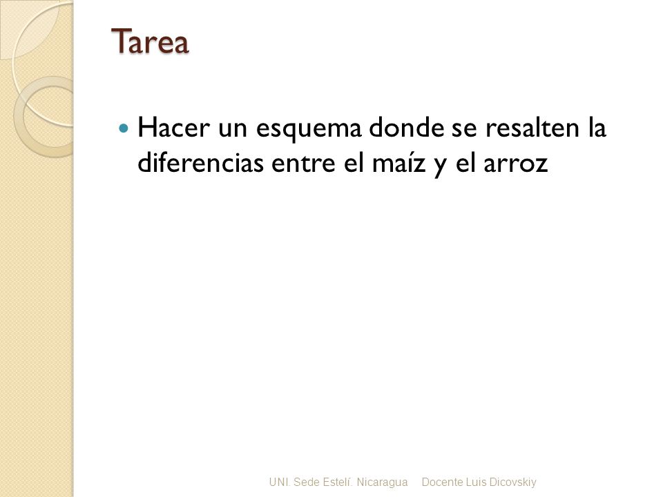 Tarea Hacer un esquema donde se resalten la diferencias entre el maíz y el arroz. UNI. Sede Estelí. Nicaragua.