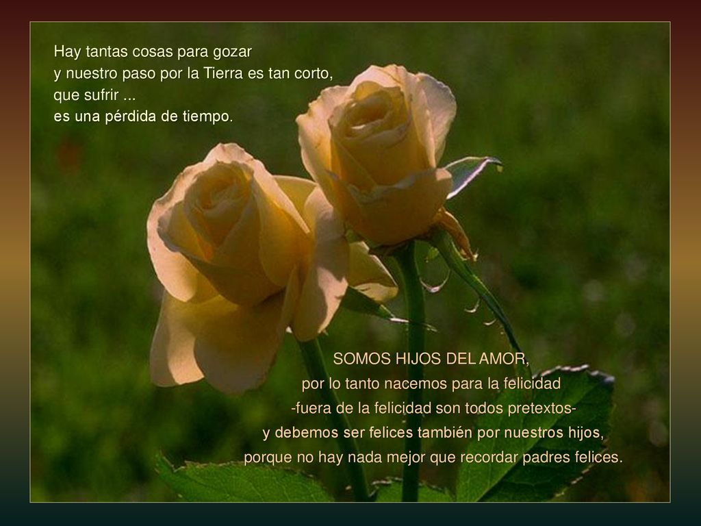Hay tantas cosas para gozar y nuestro paso por la Tierra es tan corto,