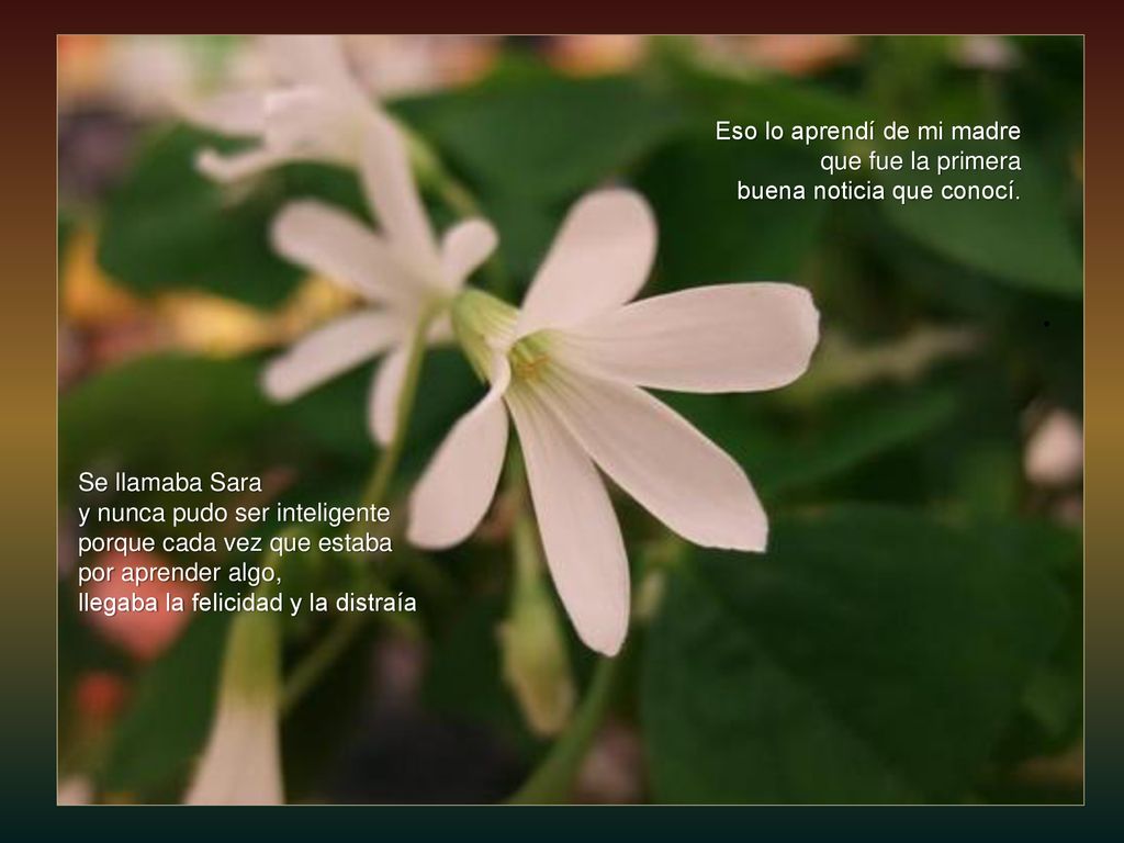 . Eso lo aprendí de mi madre que fue la primera