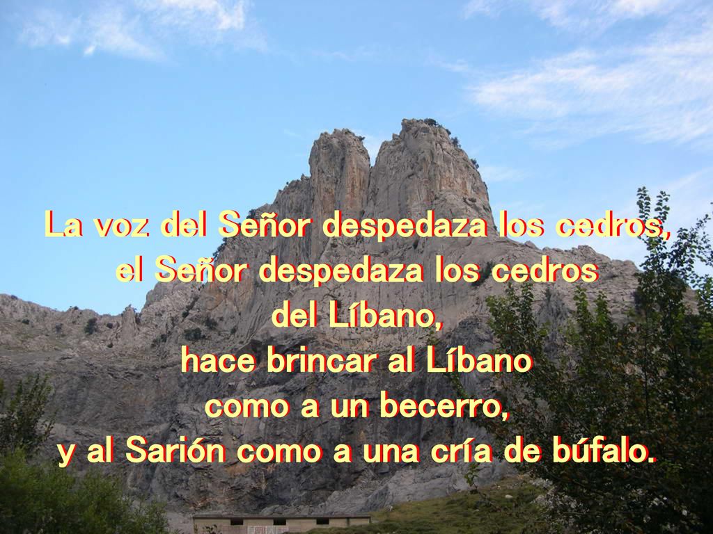 La voz del Señor despedaza los cedros, el Señor despedaza los cedros