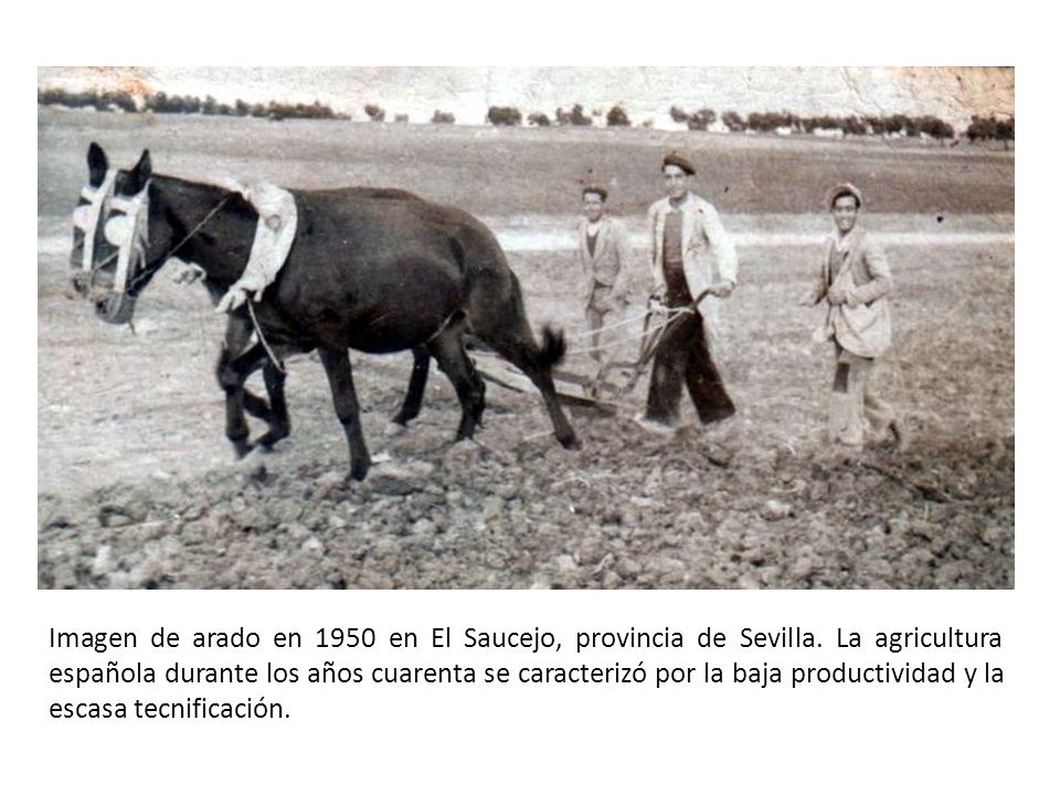 Imagen de arado en 1950 en El Saucejo, provincia de Sevilla