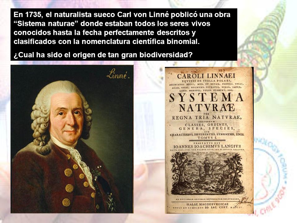 En 1735, el naturalista sueco Carl von Linné poblicó una obra Sistema naturae donde estaban todos los seres vivos conocidos hasta la fecha perfectamente descritos y clasificados con la nomenclatura científica binomial.