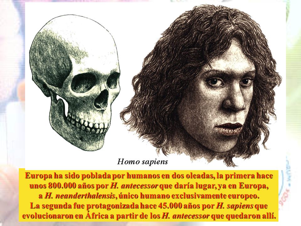Europa ha sido poblada por humanos en dos oleadas, la primera hace