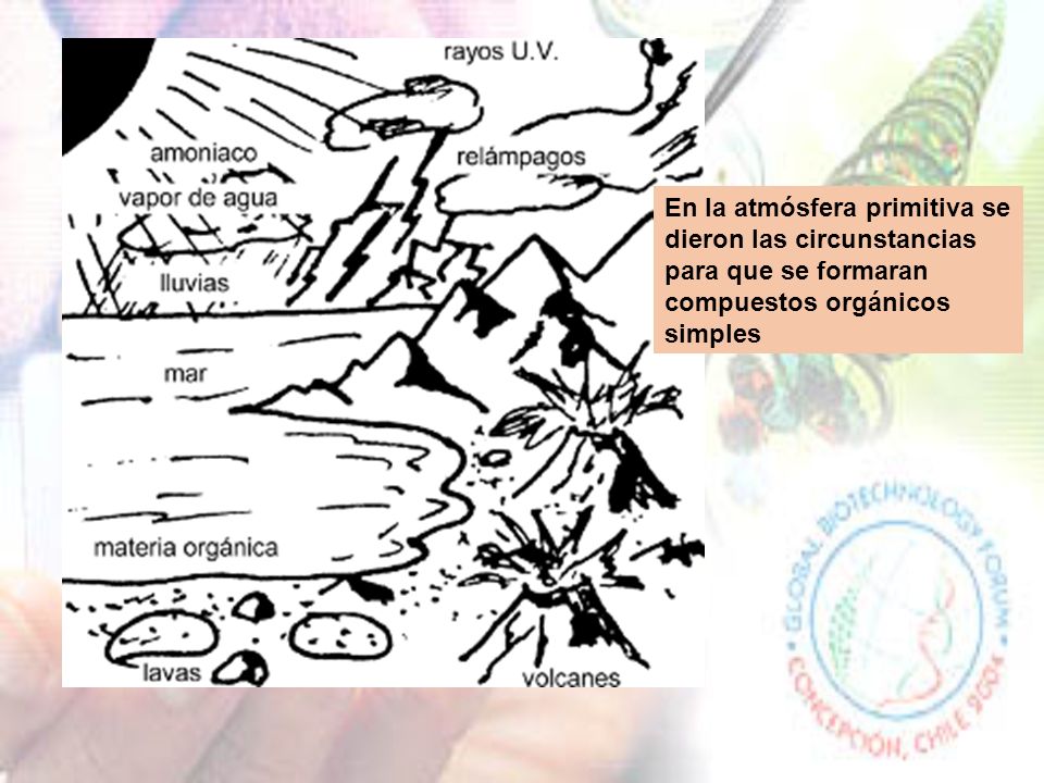 En la atmósfera primitiva se dieron las circunstancias para que se formaran compuestos orgánicos simples