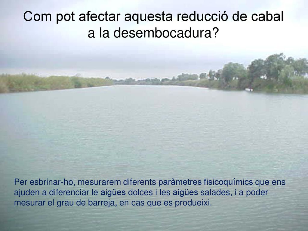 Com pot afectar aquesta reducció de cabal a la desembocadura