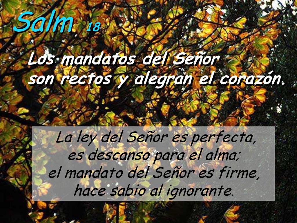 Salm 18 Los mandatos del Señor son rectos y alegran el corazón.