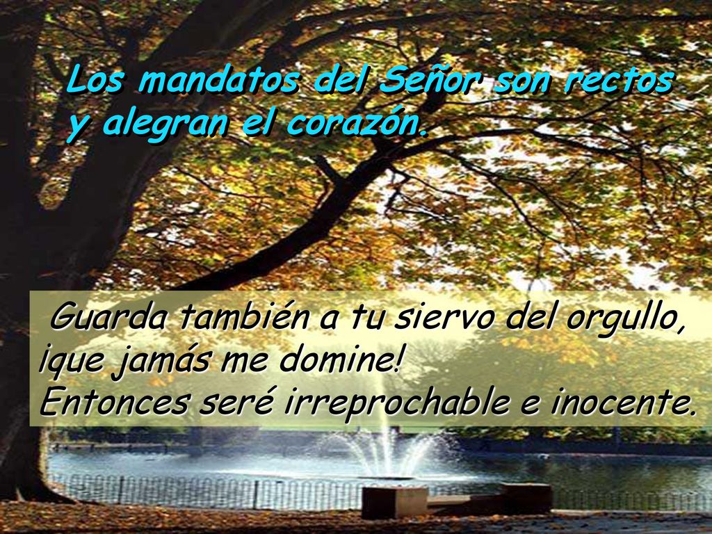Los mandatos del Señor son rectos y alegran el corazón.