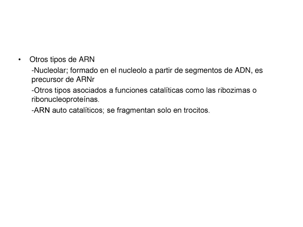 Otros tipos de ARN -Nucleolar; formado en el nucleolo a partir de segmentos de ADN, es precursor de ARNr.