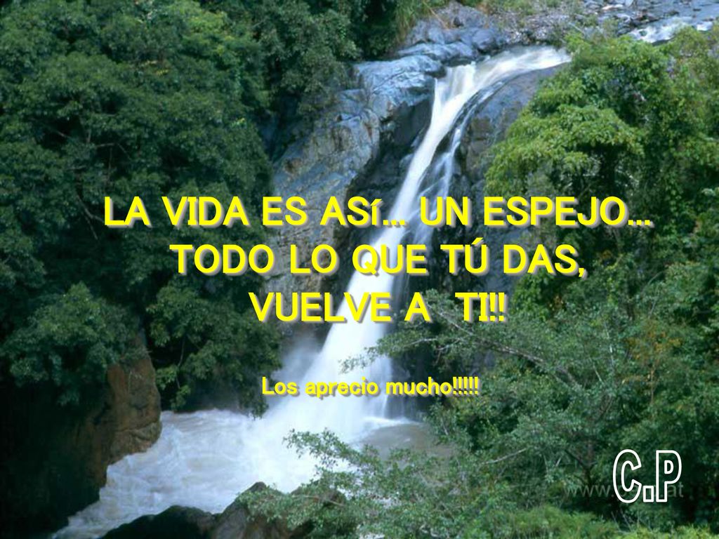 LA VIDA ES ASí... UN ESPEJO... TODO LO QUE TÚ DAS, VUELVE A TI!!