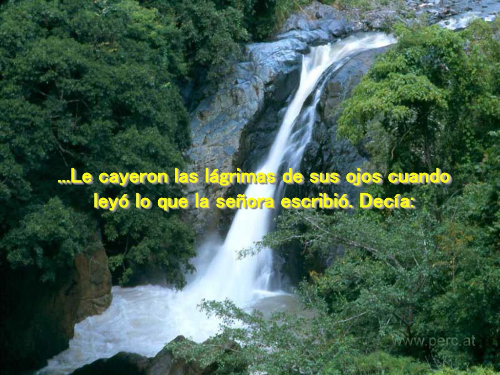 ...Le cayeron las lágrimas de sus ojos cuando leyó lo que la señora escribió. Decía: