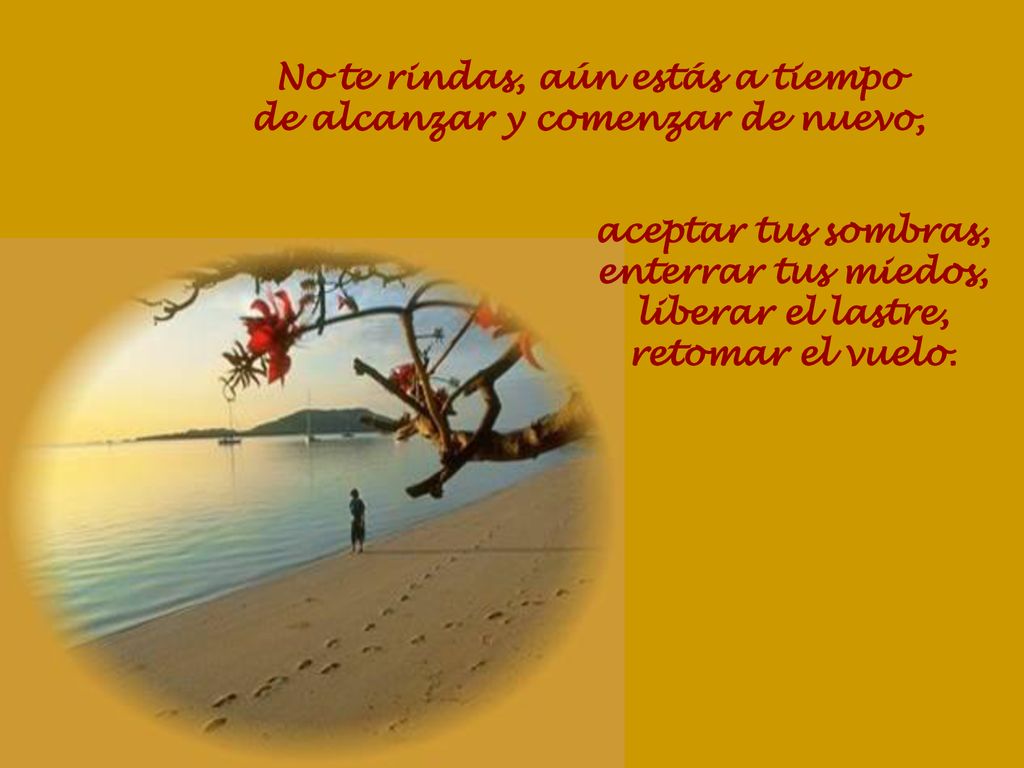 No te rindas, aún estás a tiempo de alcanzar y comenzar de nuevo,