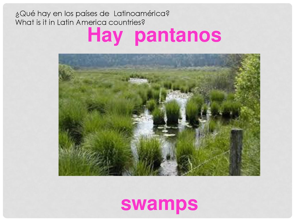 Hay pantanos swamps ¿Qué hay en los países de Latinoamérica