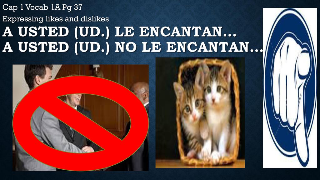 A usted (ud.) le encantan… A usted (ud.) no le encantan…