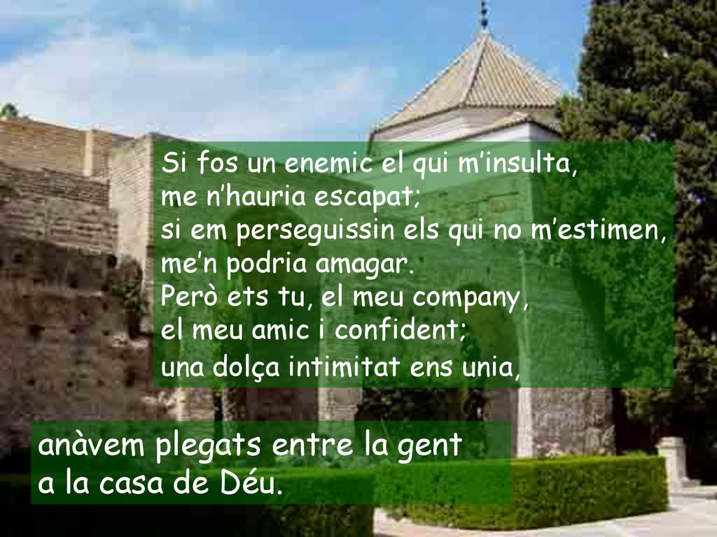 anàvem plegats entre la gent a la casa de Déu.