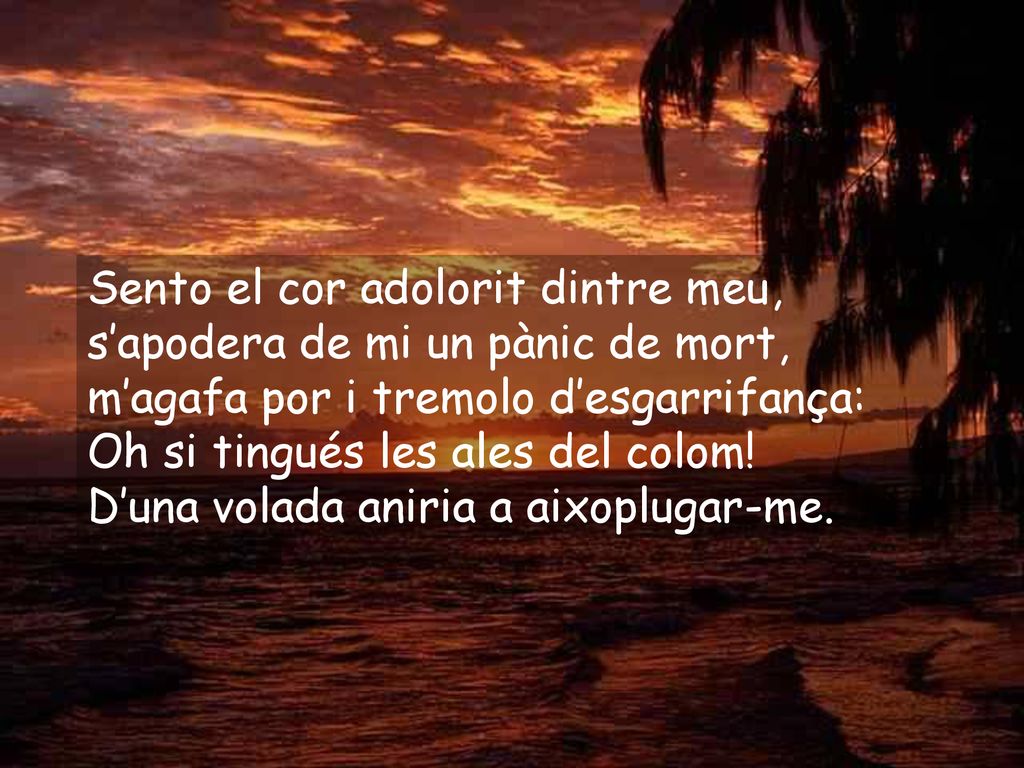 Sento el cor adolorit dintre meu,