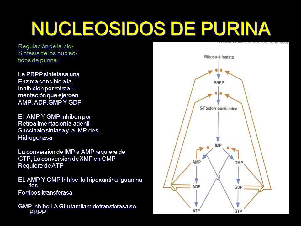 NUCLEOSIDOS DE PURINA Regulación de la bio- Sintesis de los nucleo-