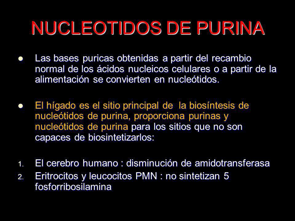 NUCLEOTIDOS DE PURINA