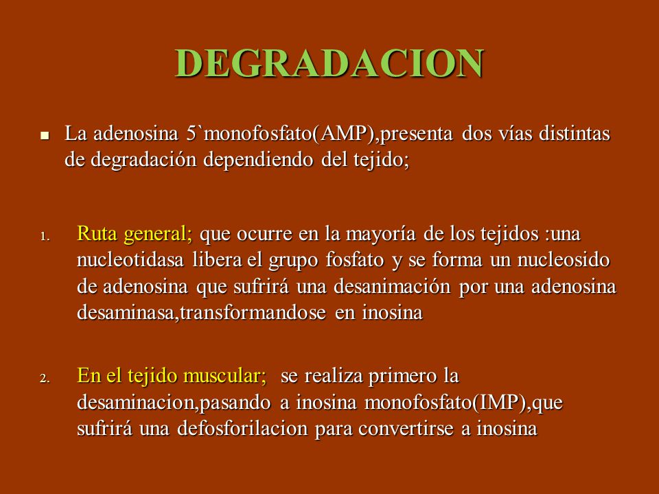 DEGRADACION La adenosina 5`monofosfato(AMP),presenta dos vías distintas de degradación dependiendo del tejido;