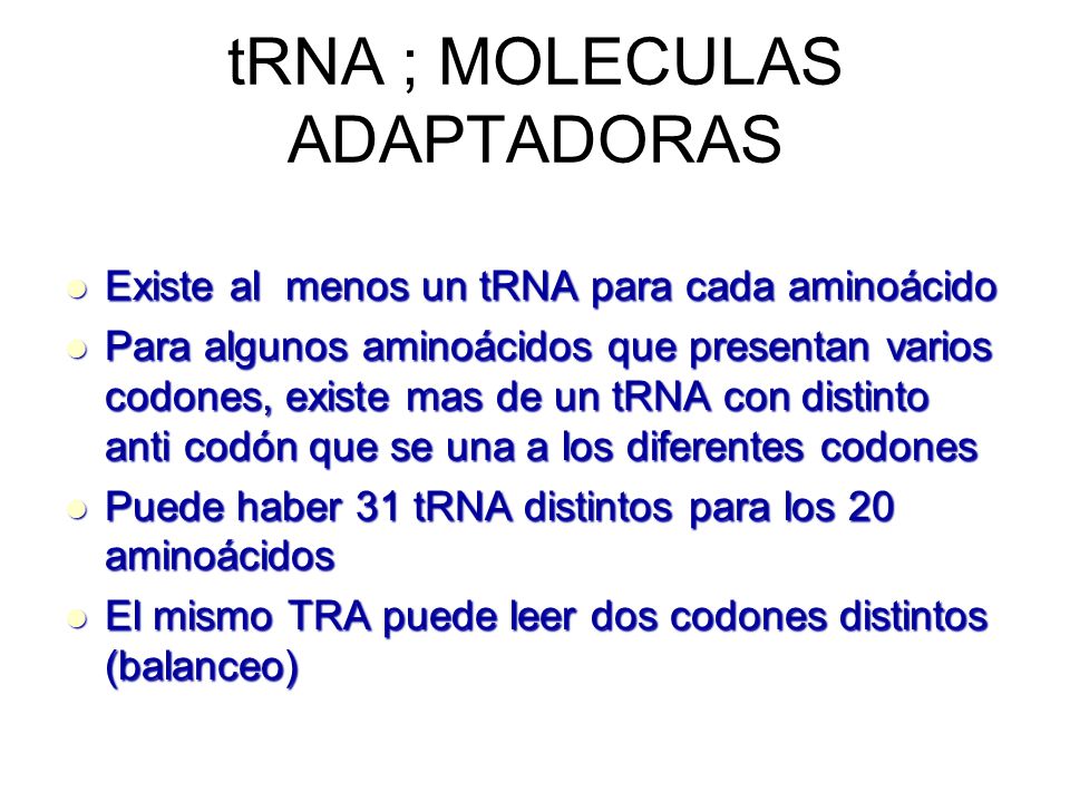 tRNA ; MOLECULAS ADAPTADORAS
