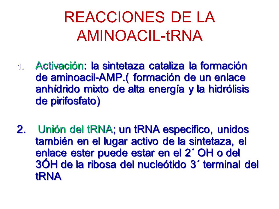 REACCIONES DE LA AMINOACIL-tRNA