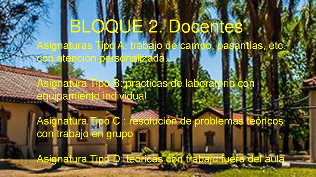 BLOQUE 2. Docentes Asignaturas Tipo A: trabajo de campo, pasantías, etc. con atención personalizada.