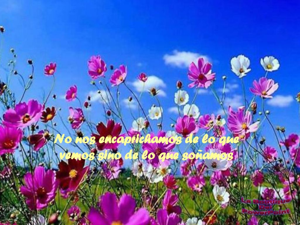 No nos encaprichamos de lo que vemos sino de lo que soñamos