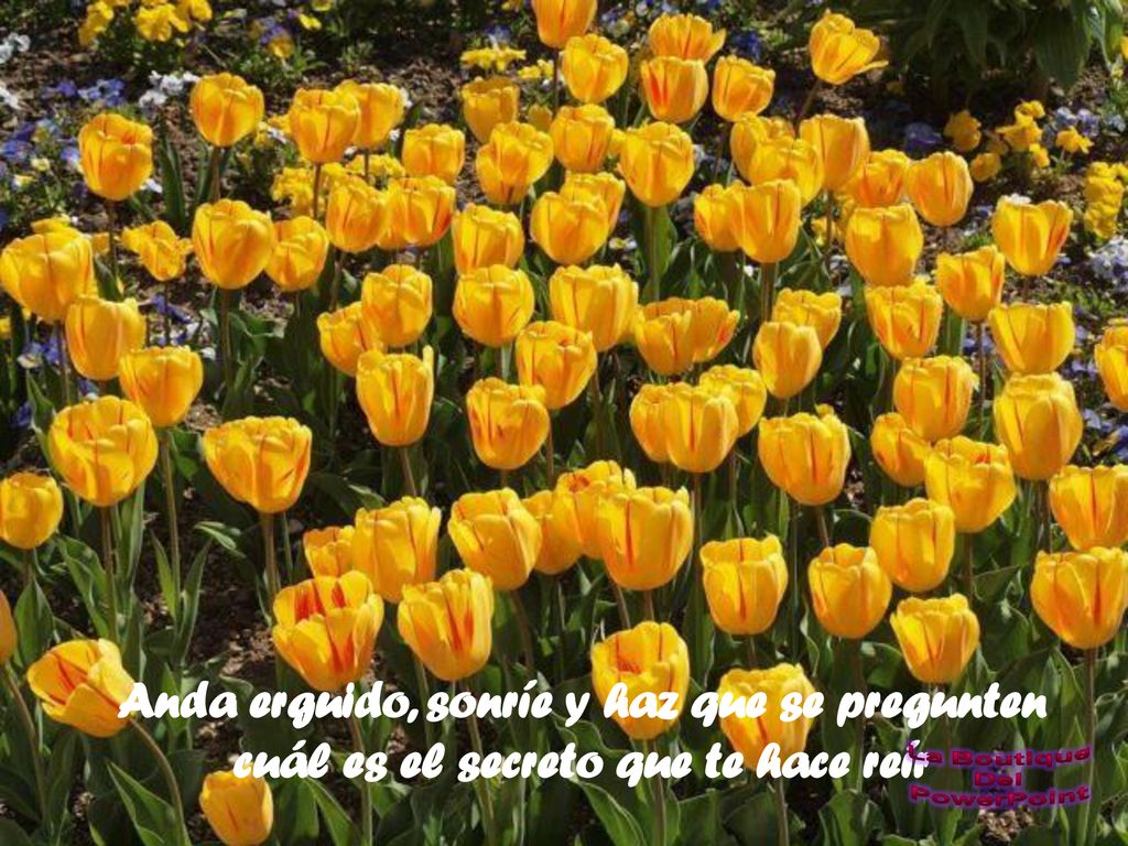 Anda erguido, sonríe y haz que se pregunten cuál es el secreto que te hace reír