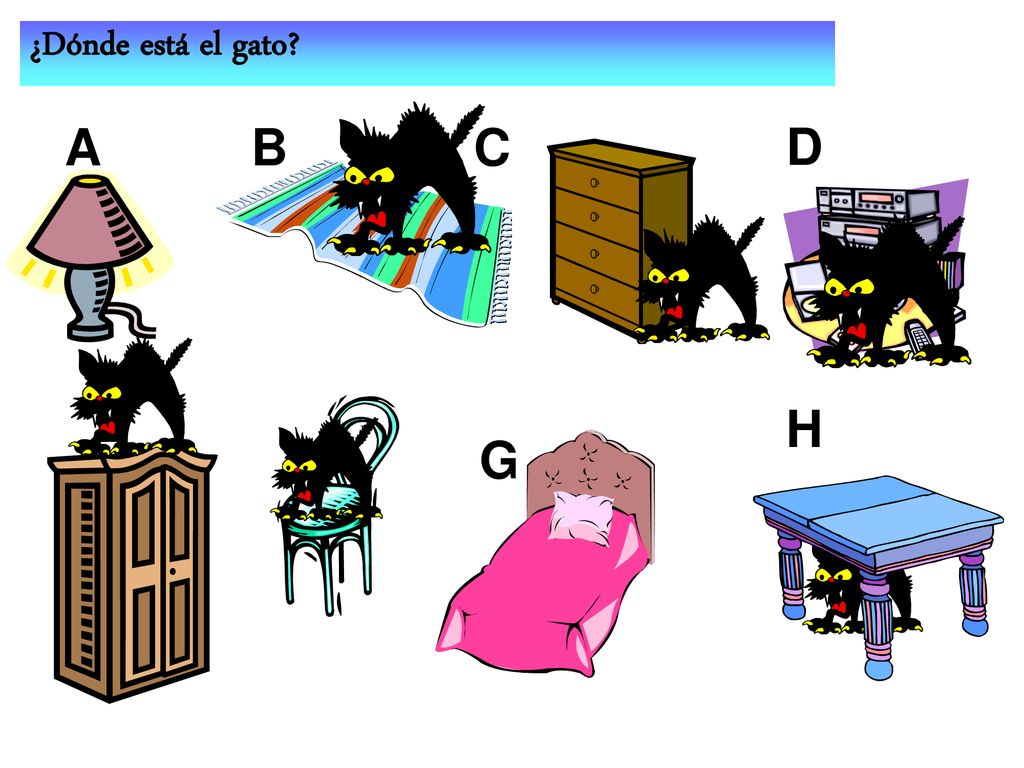 ¿Dónde está el gato A B C D E H F G