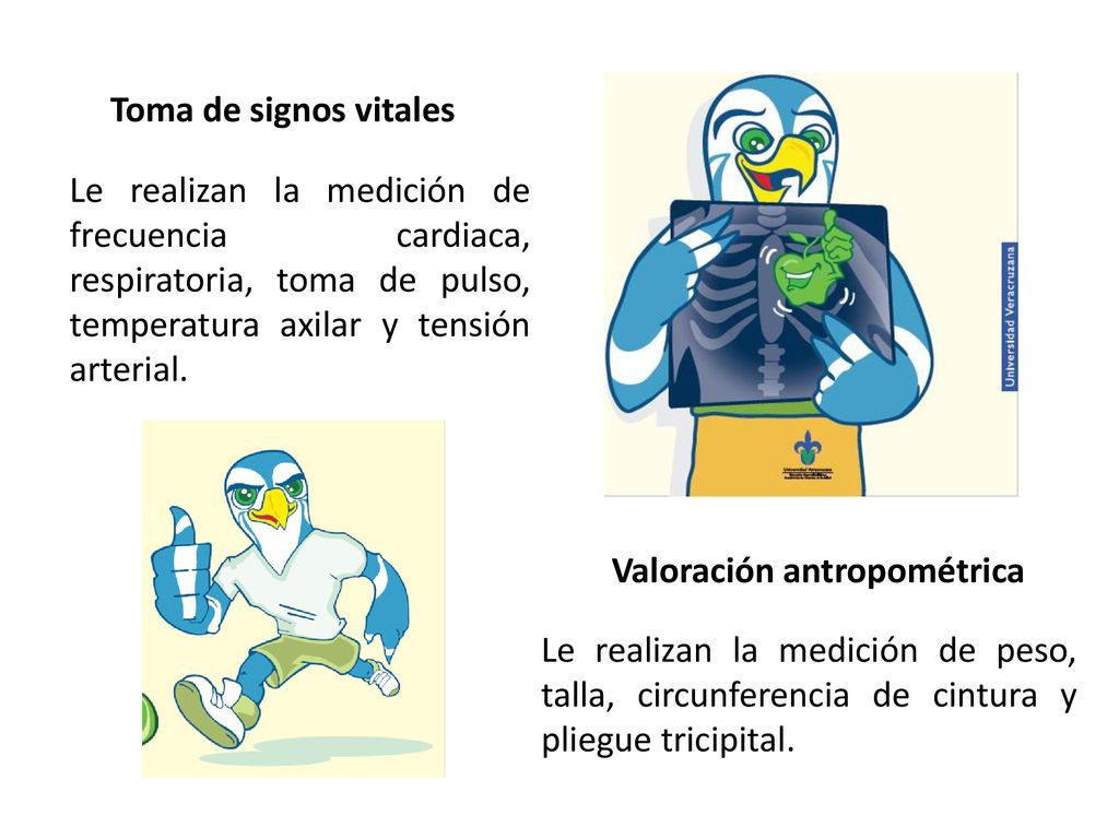 Toma de signos vitales Le realizan la medición de frecuencia cardiaca, respiratoria, toma de pulso, temperatura axilar y tensión arterial.