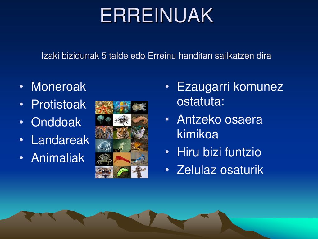 ERREINUAK Izaki bizidunak 5 talde edo Erreinu handitan sailkatzen dira