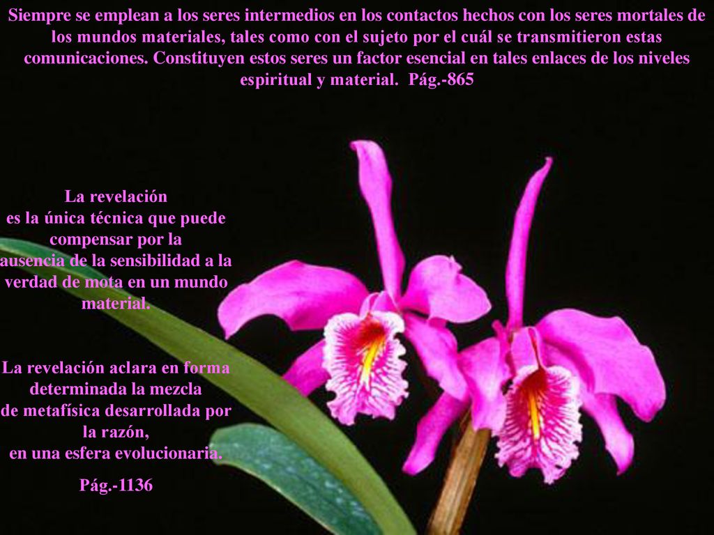Siempre se emplean a los seres intermedios en los contactos hechos con los seres mortales de los mundos materiales, tales como con el sujeto por el cuál se transmitieron estas comunicaciones. Constituyen estos seres un factor esencial en tales enlaces de los niveles espiritual y material. Pág.-865