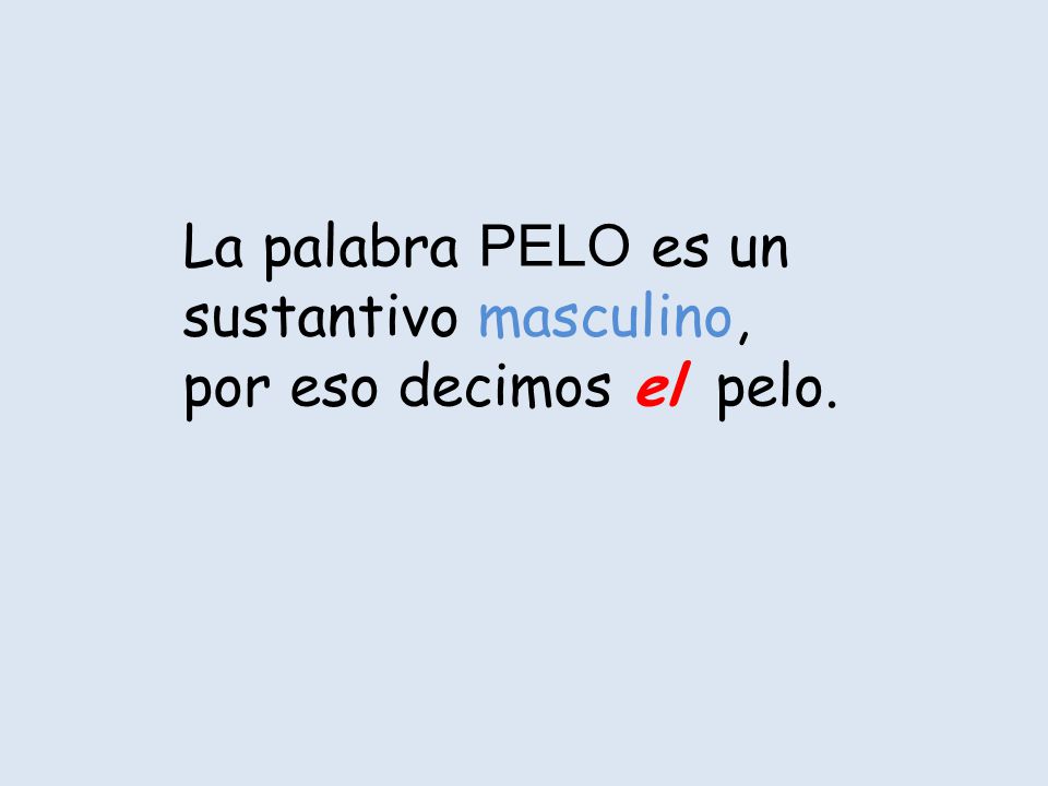 La palabra PELO es un sustantivo masculino, por eso decimos el pelo.
