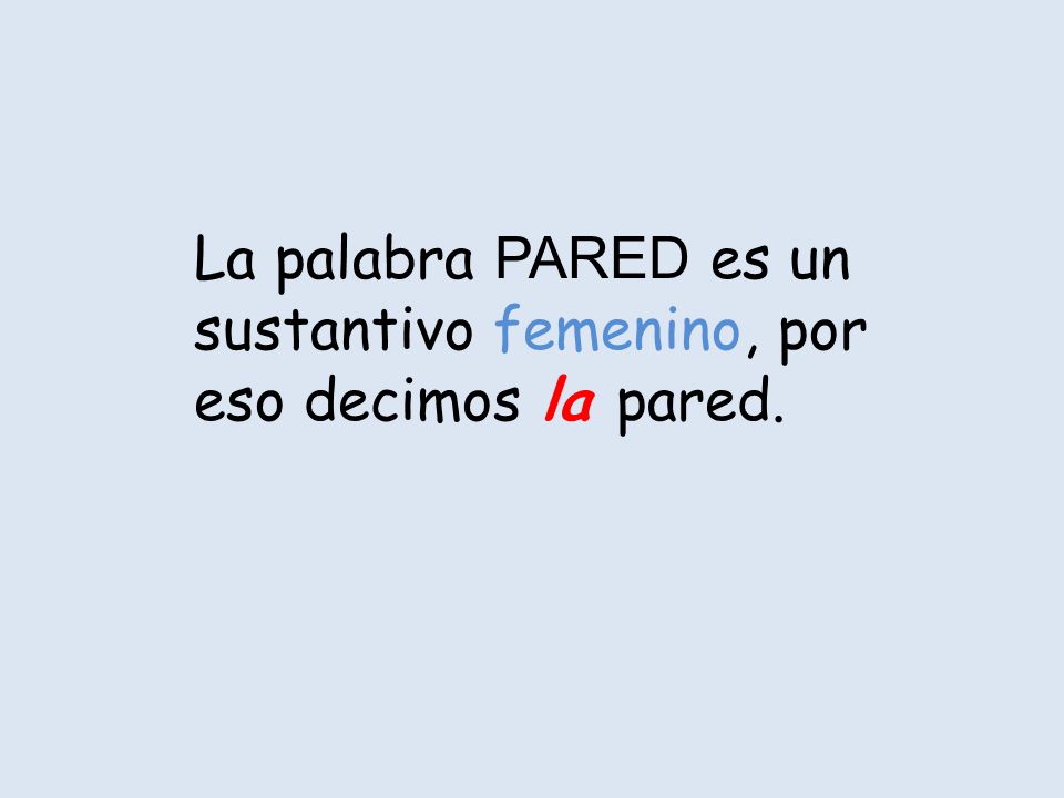 La palabra PARED es un sustantivo femenino, por eso decimos la pared.