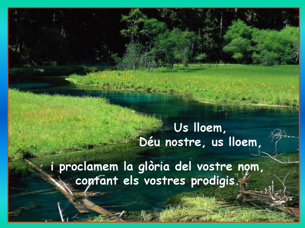 i proclamem la glòria del vostre nom, contant els vostres prodigis.
