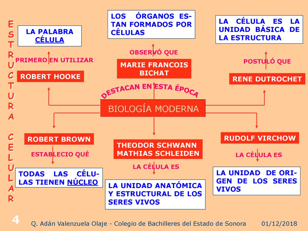 Q. Adán Valenzuela Olaje - Colegio de Bachilleres del Estado de Sonora