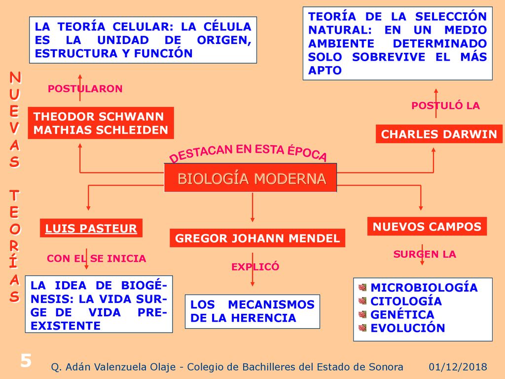 Q. Adán Valenzuela Olaje - Colegio de Bachilleres del Estado de Sonora