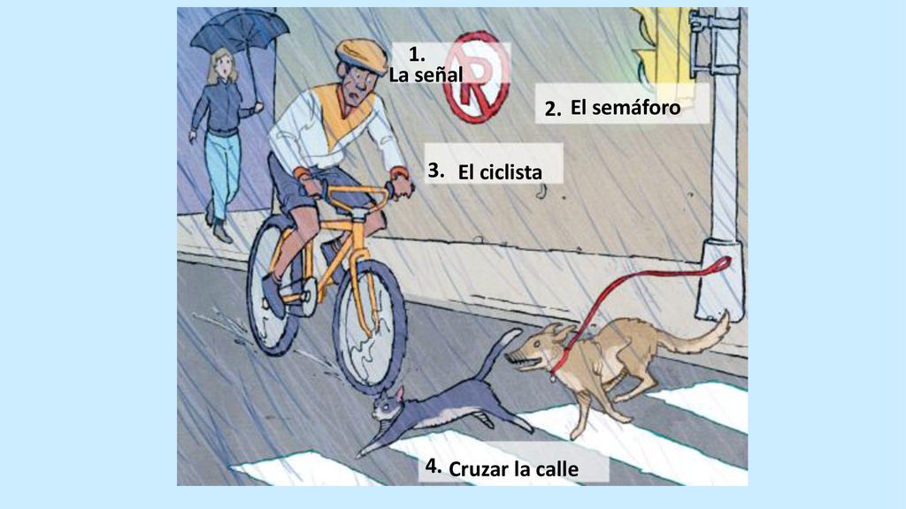1. La señal 2. El semáforo 3. El ciclista 4. Cruzar la calle