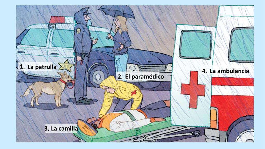 1. La patrulla 4. La ambulancia 2. El paramédico 3. La camilla