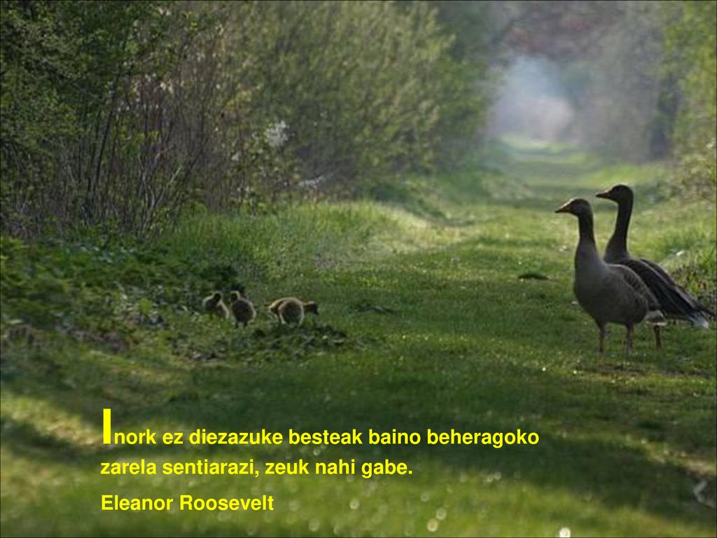 Inork ez diezazuke besteak baino beheragoko zarela sentiarazi, zeuk nahi gabe.