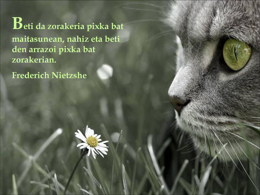 Beti da zorakeria pixka bat maitasunean, nahiz eta beti den arrazoi pixka bat zorakerian.