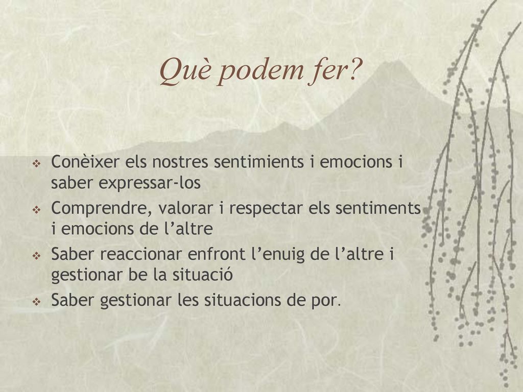 Què podem fer Conèixer els nostres sentimients i emocions i saber expressar-los.
