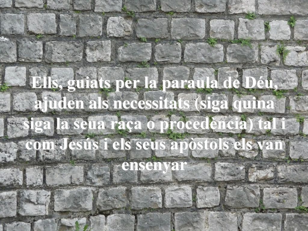 Ells, guiats per la paraula de Déu, ajuden als necessitats (siga quina siga la seua raça o procedència) tal i com Jesús i els seus apòstols els van ensenyar