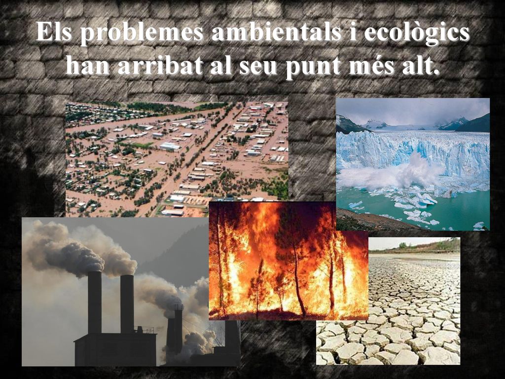 Els problemes ambientals i ecològics han arribat al seu punt més alt.