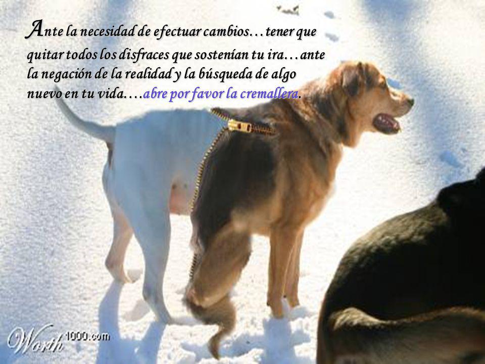 Ante la necesidad de efectuar cambios…tener que quitar todos los disfraces que sostenían tu ira…ante la negación de la realidad y la búsqueda de algo nuevo en tu vida….abre por favor la cremallera.