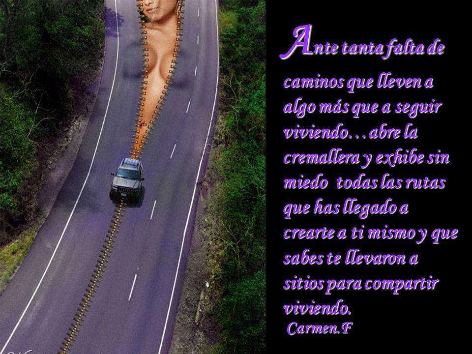 Ante tanta falta de caminos que lleven a algo más que a seguir viviendo…abre la cremallera y exhibe sin miedo todas las rutas que has llegado a crearte a ti mismo y que sabes te llevaron a sitios para compartir viviendo.