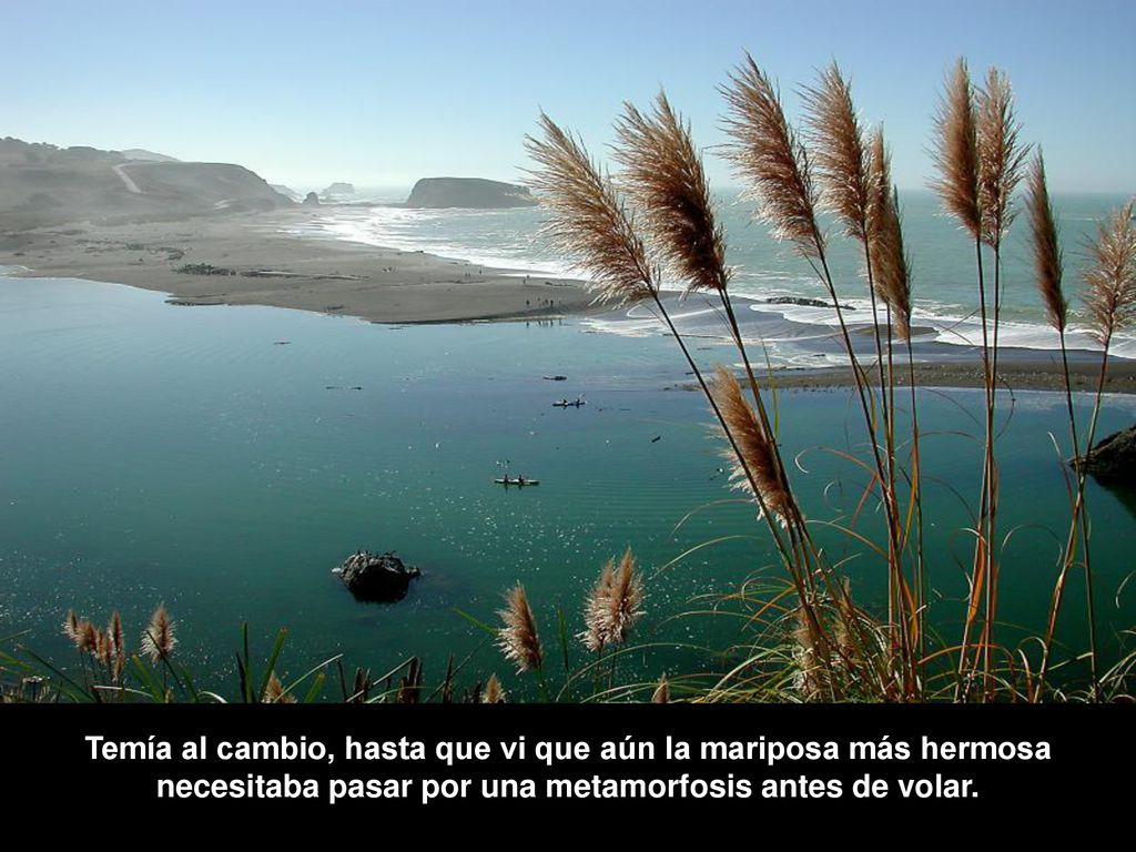 Temía al cambio, hasta que vi que aún la mariposa más hermosa necesitaba pasar por una metamorfosis antes de volar.