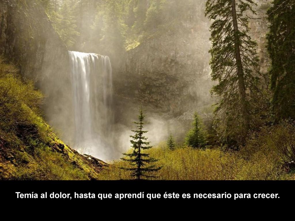 Temía al dolor, hasta que aprendí que éste es necesario para crecer.