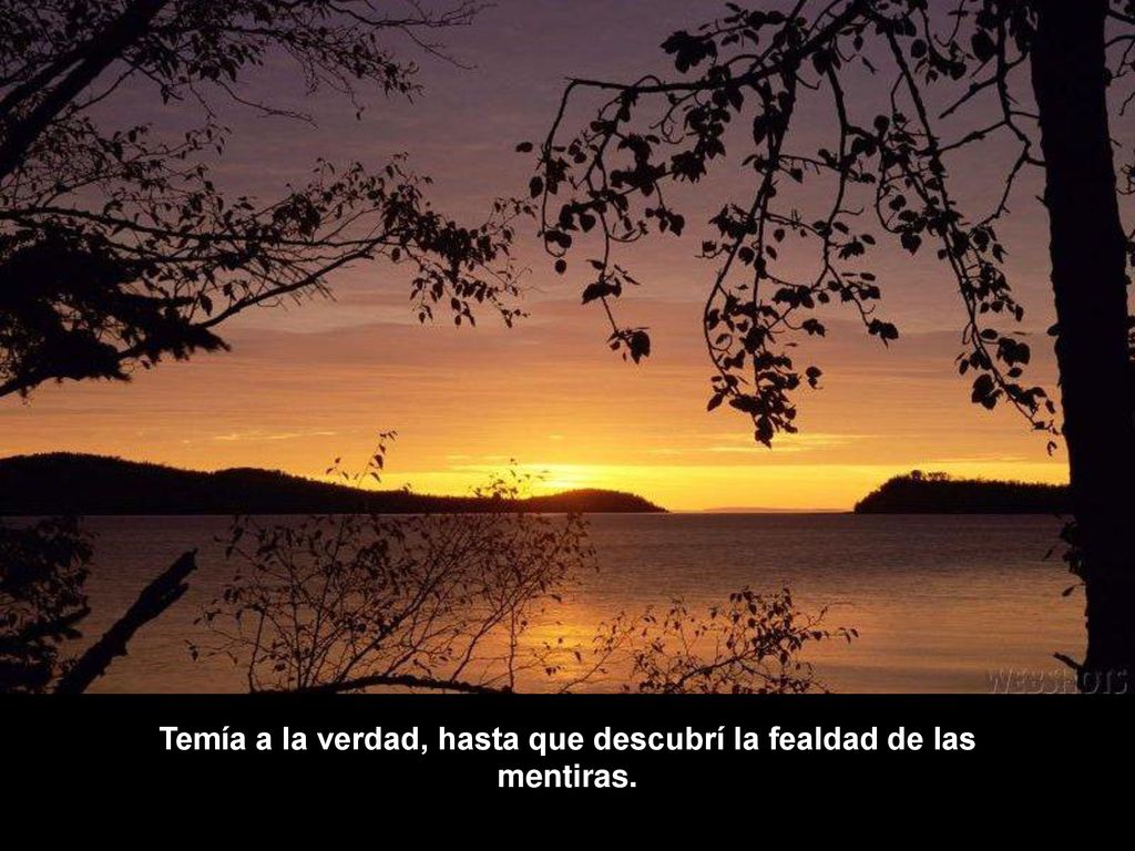 Temía a la verdad, hasta que descubrí la fealdad de las mentiras.