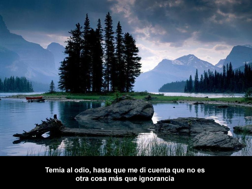 Temía al odio, hasta que me di cuenta que no es